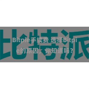 Bitpie手续费 选择Bitpie的原因，你知道吗？