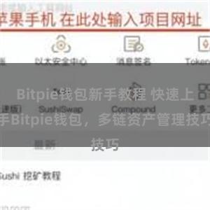 Bitpie钱包新手教程 快速上手Bitpie钱包，多链资产管理技巧