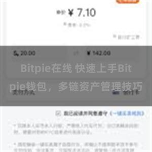 Bitpie在线 快速上手Bitpie钱包，多链资产管理技巧