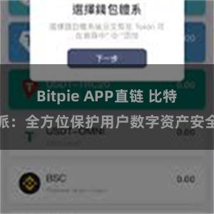 Bitpie APP直链 比特派：全方位保护用户数字资产安全