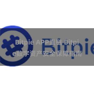 Bitpie APP直链 Bitpie数字资产安全保障指南