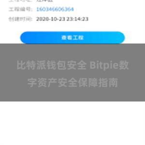 比特派钱包安全 Bitpie数字资产安全保障指南