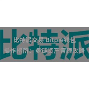 比特派交易 Bitpie钱包操作指南：多链资产管理攻略