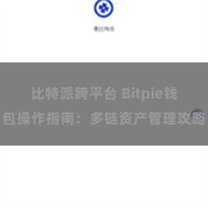 比特派跨平台 Bitpie钱包操作指南：多链资产管理攻略