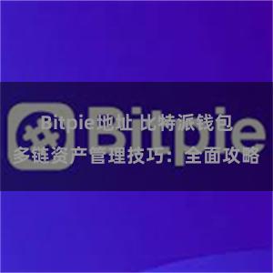 Bitpie地址 比特派钱包多链资产管理技巧：全面攻略