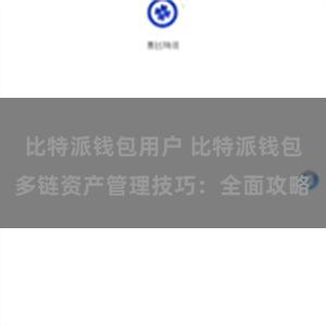 比特派钱包用户 比特派钱包多链资产管理技巧：全面攻略