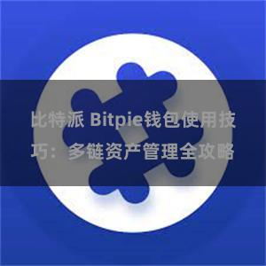 比特派 Bitpie钱包使用技巧：多链资产管理全攻略