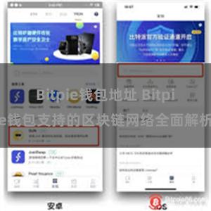 Bitpie钱包地址 Bitpie钱包支持的区块链网络全面解析