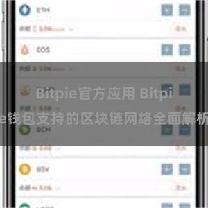 Bitpie官方应用 Bitpie钱包支持的区块链网络全面解析