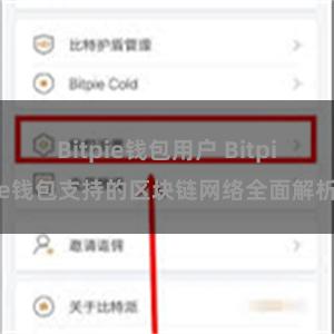 Bitpie钱包用户 Bitpie钱包支持的区块链网络全面解析