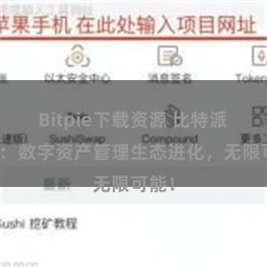 Bitpie下载资源 比特派钱包：数字资产管理生态进化，无限可能！