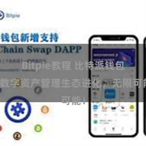 Bitpie教程 比特派钱包：数字资产管理生态进化，无限可能！