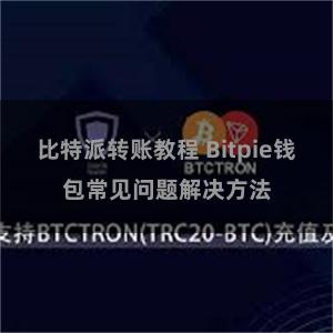 比特派转账教程 Bitpie钱包常见问题解决方法