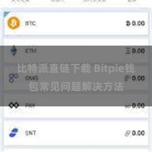 比特派直链下载 Bitpie钱包常见问题解决方法