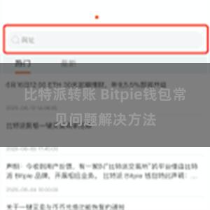 比特派转账 Bitpie钱包常见问题解决方法