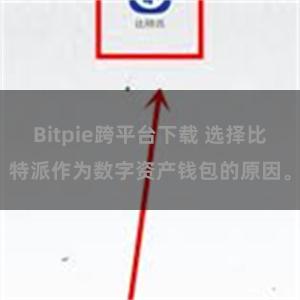 Bitpie跨平台下载 选择比特派作为数字资产钱包的原因。