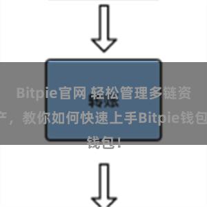 Bitpie官网 轻松管理多链资产，教你如何快速上手Bitpie钱包！