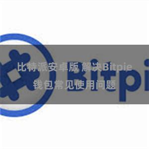 比特派安卓版 解决Bitpie钱包常见使用问题