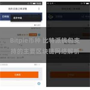 Bitpie币种 比特派钱包支持的主要区块链网络解析