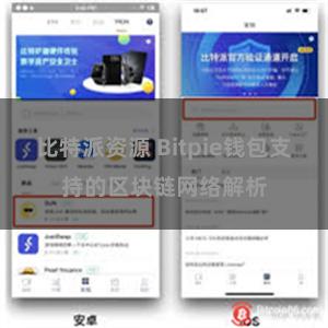 比特派资源 Bitpie钱包支持的区块链网络解析