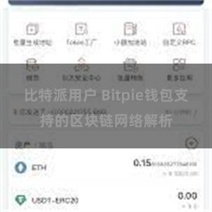 比特派用户 Bitpie钱包支持的区块链网络解析