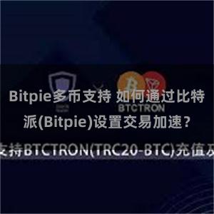 Bitpie多币支持 如何通过比特派(Bitpie)设置交易加速？