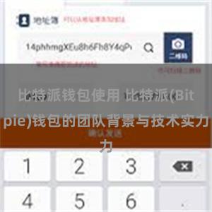 比特派钱包使用 比特派(Bitpie)钱包的团队背景与技术实力