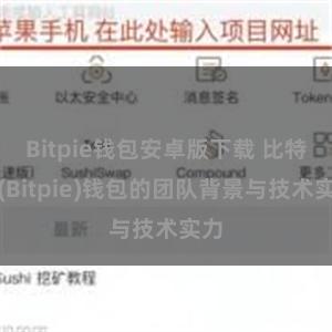 Bitpie钱包安卓版下载 比特派(Bitpie)钱包的团队背景与技术实力