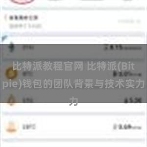 比特派教程官网 比特派(Bitpie)钱包的团队背景与技术实力