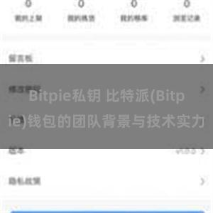 Bitpie私钥 比特派(Bitpie)钱包的团队背景与技术实力